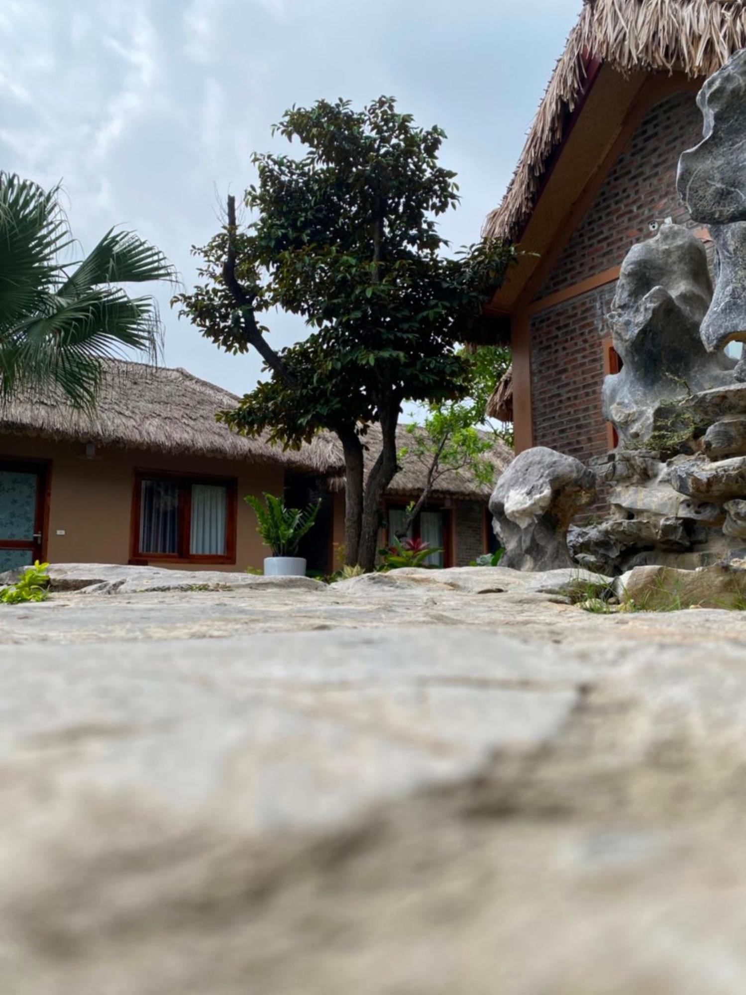 Lemon Tree Homestay Tam Coc Ниньбинь Экстерьер фото